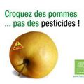Les pesticides: des chiffres qui font peur