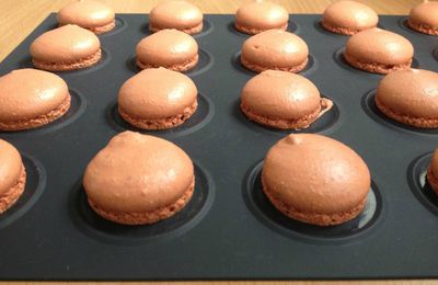 Entremets caramel-spéculos