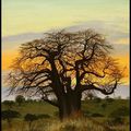 Le trésor du Baobab