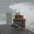 Tempête sur la côte