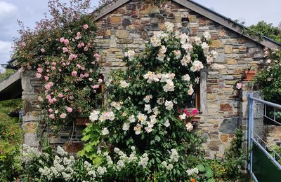 Retour sur le week-end aux jardins