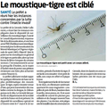 Moustique tigre