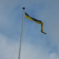 Swedish flag!!