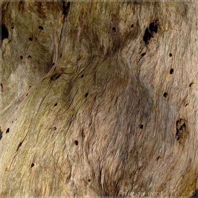 Qu'est-ce qu'elle a...