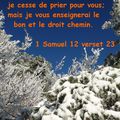 1 Samuel 12 verset 23