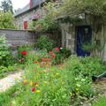 Le jardin avant la tempête du 5 juillet