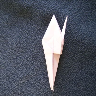 Premier tuto : la grenouille