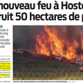 Feu de forêt