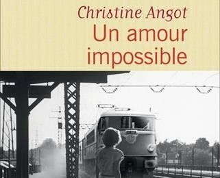 LIVRE : Un Amour impossible de Christine Angot - 2015