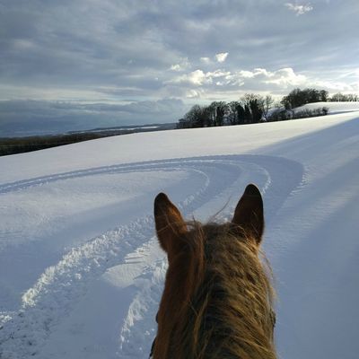 Balade dans la neige !