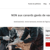 les animaux &laquo; vaccinés &laquo; ARN conservent le label bio mais sont des OGM ! Faites bien cuire votre magret ...
