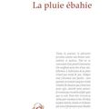 "La pluie ébahie" Mia Couto