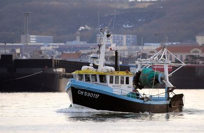 Quotas post-Brexit, Covid et éoliennes en mer: l'avenir de la pêche artisanale normande se joue... MAINTENANT!