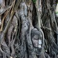 Thaïlande, Ayutthaya et Ko Chang