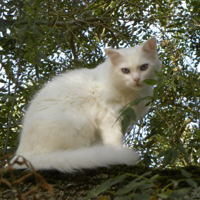 Des nouvelles de MIchka
