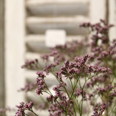 H A P P Y ... Certains jours, semaines, mois sont