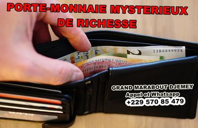 LE PORTE-MONNAIE MYSTERIEUX DU PROFESSEUR DJEMEY +229 620 165 37