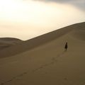 Ballade dans les dunes (Ica, Huacachina)