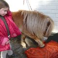 Canaillou veut des carottes !