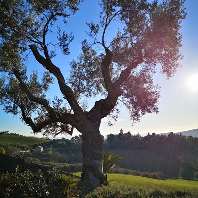 Bye bye le soleil d'Italie 