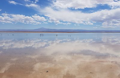 Volver a Chile : San Pedro de Atacama