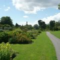 Irlande/Leinster - Les parcs de Dublin: Les National Botanic Gardens