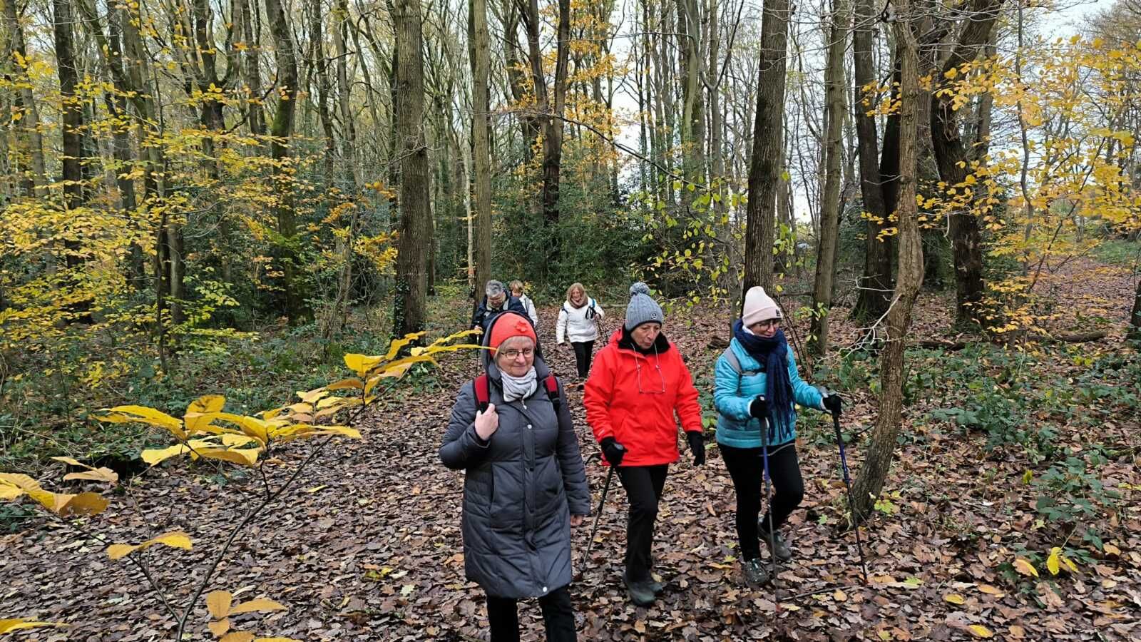 15. 2024. Darnétal Rando samedi 23 novembre