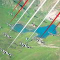 Projet de création d'une patrouille Suisse de vache volante