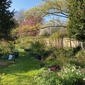 Entretien en mars du Jardin Personnel d'André Eve