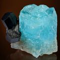 Blue crystal of Beryl var. Aquamarine with attached Schorl Tourmaline; Aquamarine with bi-color Fluorite on Muscovite, ...