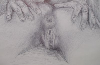Art & Sex: Anatomie by H.i
