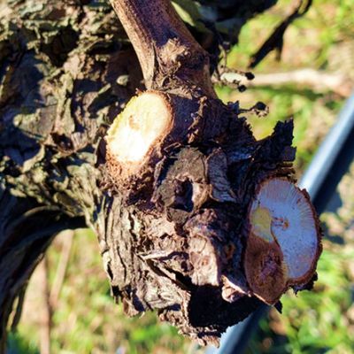 Association des Coursons en Colère