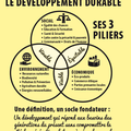 Les 3 piliers du développement durable