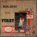 Balade  en forêt