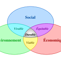 1. CONTEXTE DU PROJET : LE DEVELOPPEMENT DURABLE