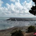 Cancale - Les parcs à huitres