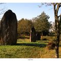 Les menhirs de Monteneuf