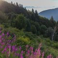 Randonnée Vercors les deux soeurs