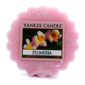 Plumeria, Yankee Candle