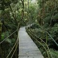 Brésil-Etat de Rio de Janeiro-Teresópolis et Paraty