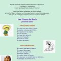 Fleurs de Bach pour les jeunes enfants et les adolescents