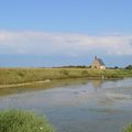 [Bretagne] entre terre et mer dans la baie du Mont Saint Michel