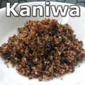 Superfood - Le Kaniwa - Un "nouveau" Grain Ancien Bon pour Nous!