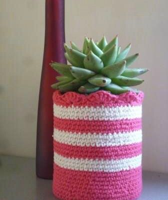 Recyclage pour succulentes