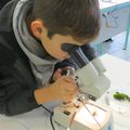 Les petits naturalistes du Club Nature