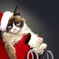 46} " Fat fait son cinéma" : " Le pire Noël de Grumpy Cat " bientôt ... sur Lifetime