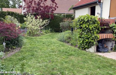 Créez ou rénovez votre pelouse en automne