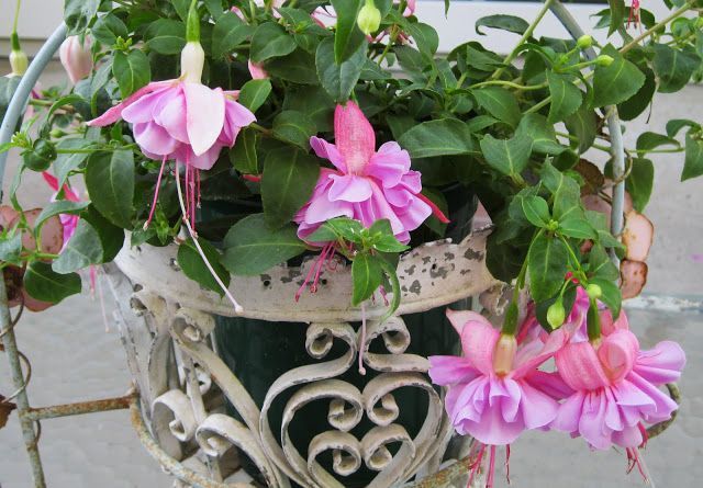 CBID ACCUEIL décoration et le design: JARDINAGE: GITE DE JARDIN - Shabby Chic