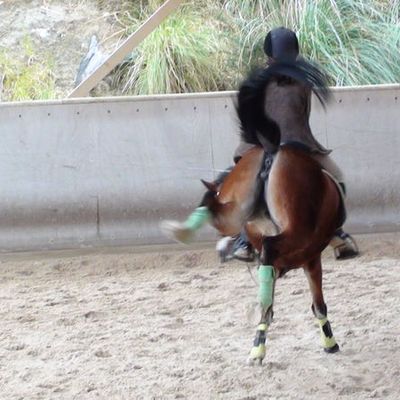 Jamaïca et Sara (Samedi 19 février 2011).