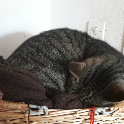 Une Saint-Valentin bien au chaud